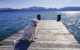 Lab puppy on a dock in Lake Tahoe