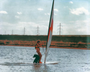 Black Labrador windsurfing with his owner